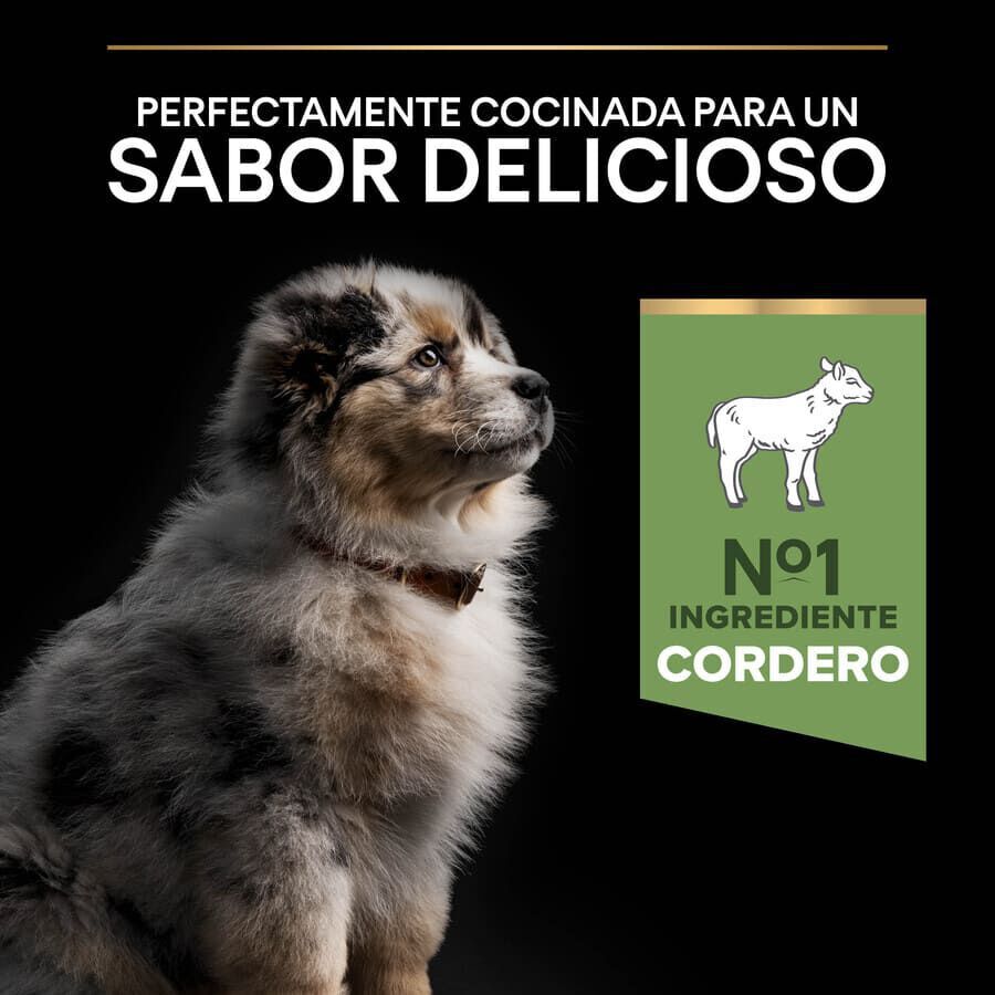 12 kg Pro Plan Puppy  Medium Digesti&oacute;n Cordero pienso para perros, , large indicador imagen numero 7
