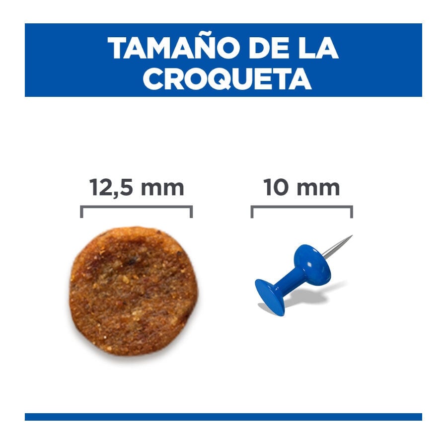 12 kg Hill's Science Plan Perfect Weight y Active Mobility pollo pienso para perros medianos, , large Imagen numero 4