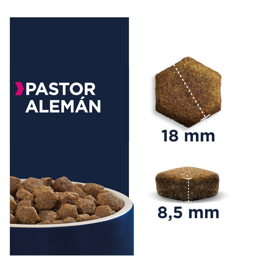 12 kg Eukanuba Adult Pastor Alem&aacute;n pienso para perros, , large indicador imagen numero 2