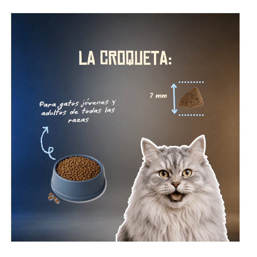 2 Kg Lenda Grain Free Cerdo, Salm&oacute;n y Krill pienso para gatos, , large Imagen numero 6