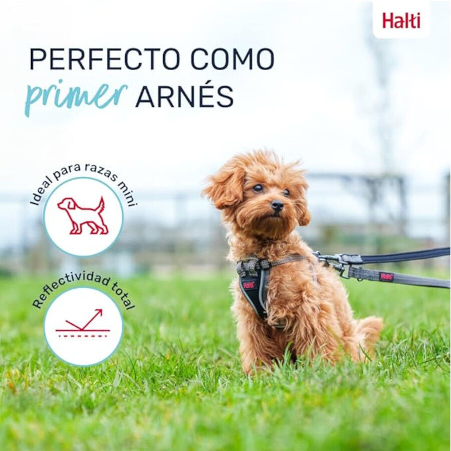 Halti arn&eacute;s anat&oacute;mico para cachorros y perros peque&ntilde;os, , large indicador imagen numero 3