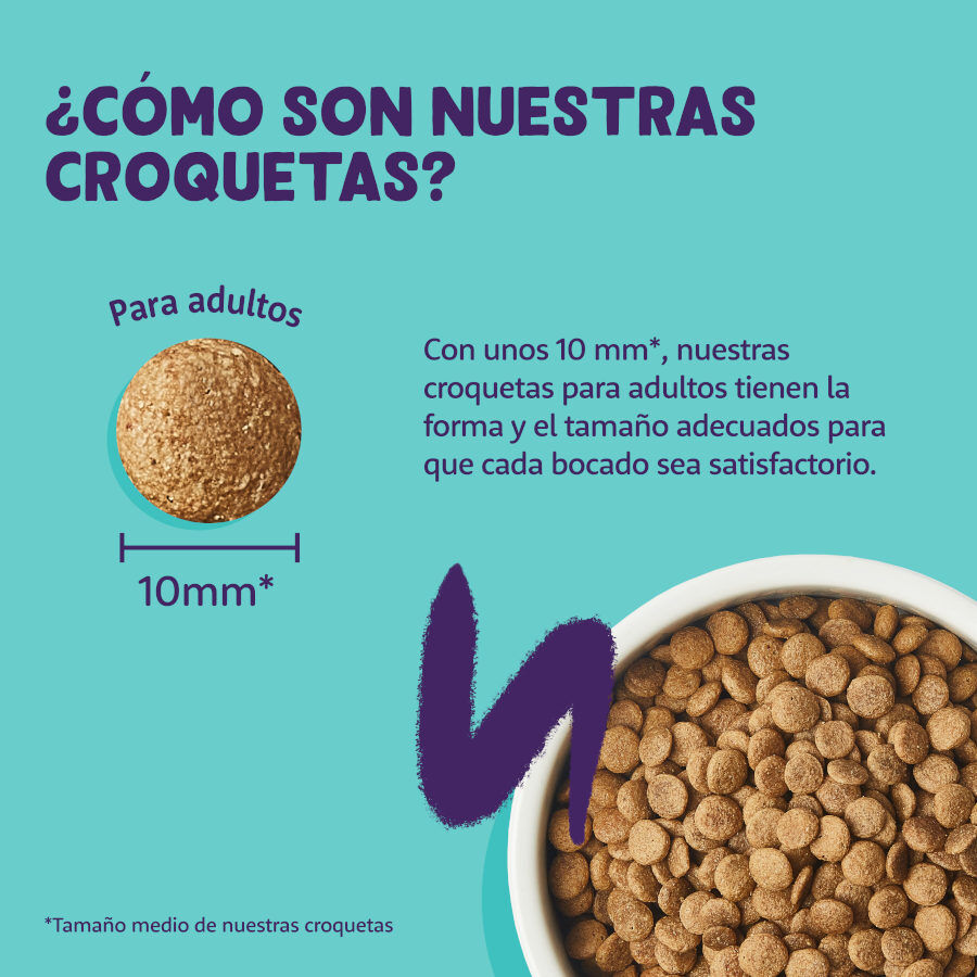 2 kg Edgard & Cooper Adult Pavo y Pollo pienso para gatos, , large indicador imagen numero 4