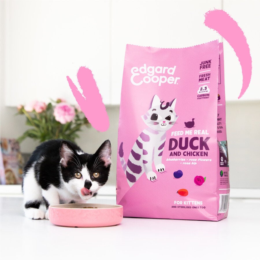 2 kg Edgard & Cooper Kitten Pato y Pollo pienso, , large indicador imagen numero 2