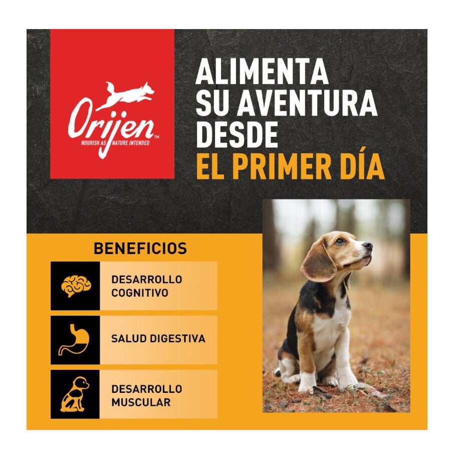 4.5 kg Orijen Small Breed pienso para perros de razas peque&ntilde;as&nbsp;, , large indicador imagen numero 2
