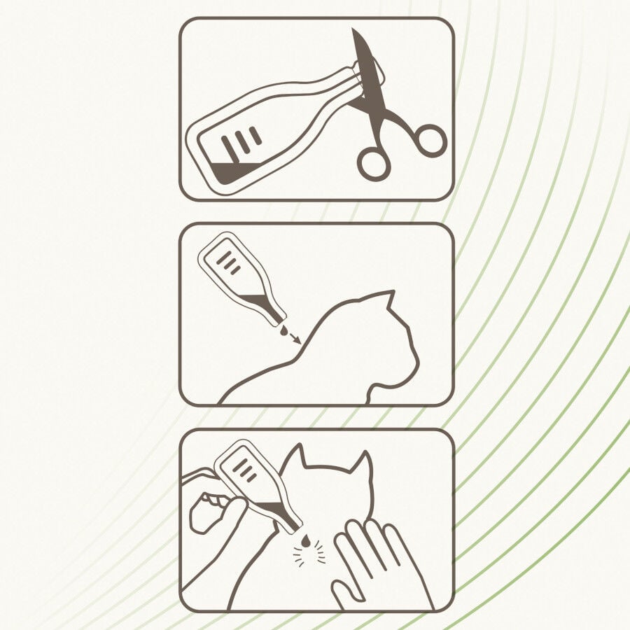 Beaphar Pipetas repelentes para gatos, , large indicador imagen numero 3