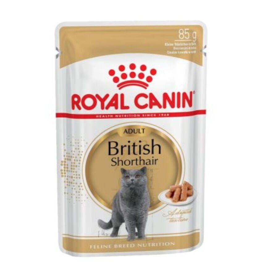 85 g Royal Canin Sobre en Salsa British Shorthair Adult, , large Imagen numero 1