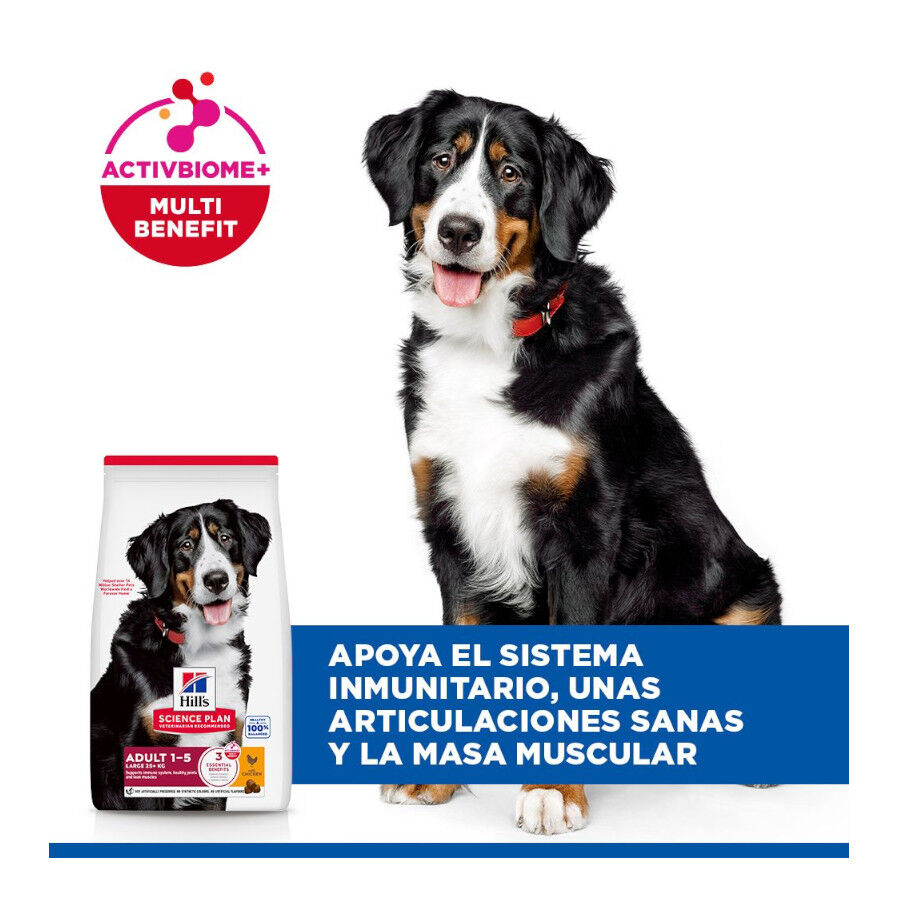 18 kg Hill's Science Plan Adult Large Pollo pienso para perros, , large indicador imagen numero 4