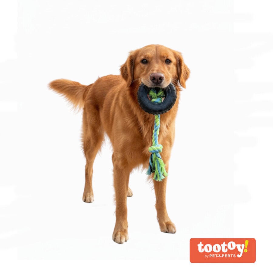 Tootoy! Mordedor Neum&aacute;tico de Goma con Cuerda para perros