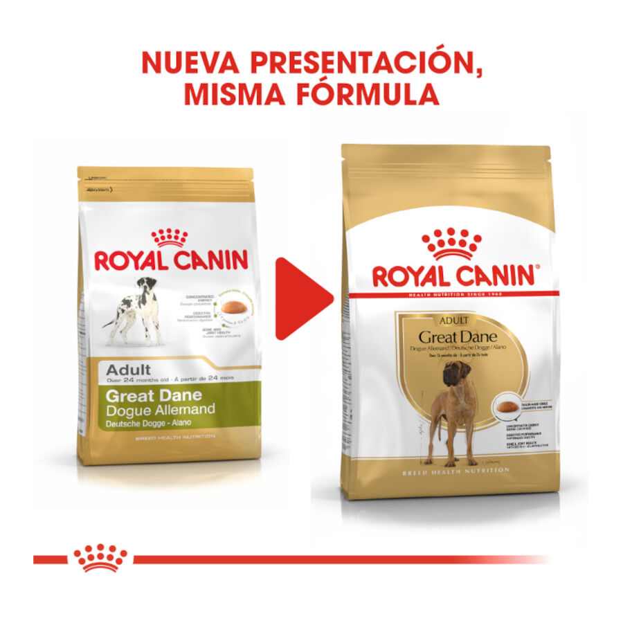 12 kg Royal Canin Adult Great Dane pienso para perros, , large indicador imagen numero 3