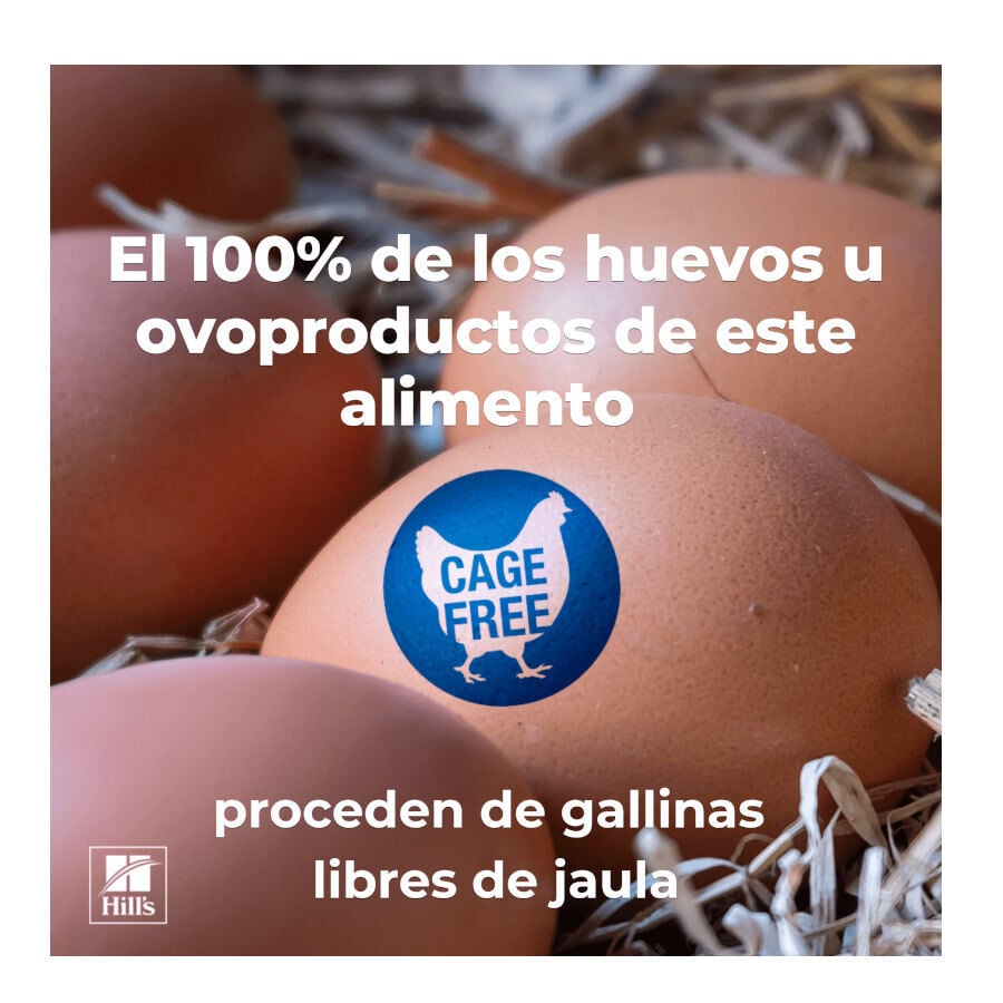 12 sobres x 85 g Hill's Prescription Diet Urinary Care c/d Pollo sobre para gatos, , large indicador imagen numero 7