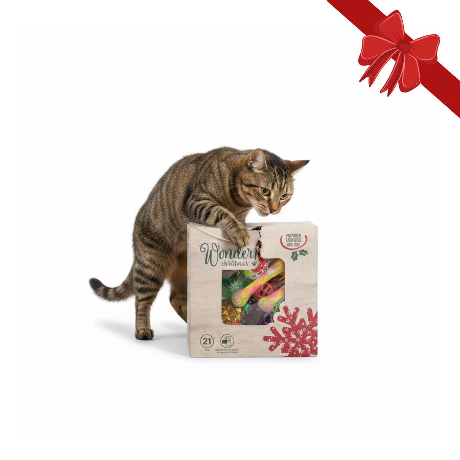 Wonder Christmas Caja de Juguetes Sorpresa Navide&ntilde;os para gatos