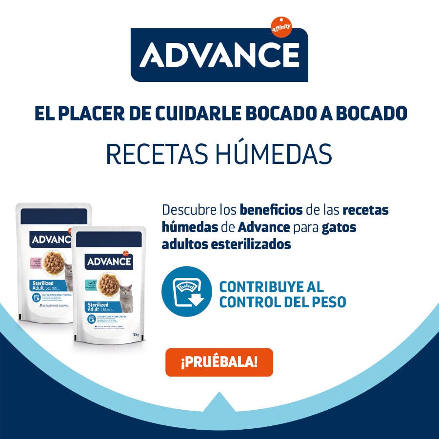 12 sobres x 85 g (9 + 3 &iexcl;gratis!) Advance Sterilized Adult Bacalao sobres para gatos, , large indicador imagen numero 4