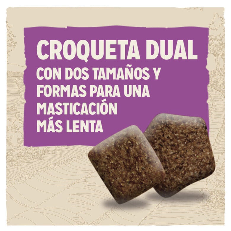 Dog Chow Mature Senior Pollo pienso para perros3 Imagen numero 3