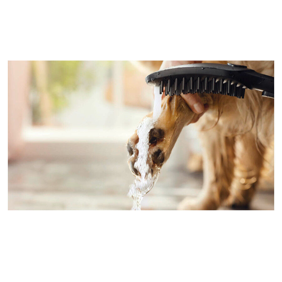 Hansgrohe Alcachofa de Ducha Negra para perros, , large indicador imagen numero 6