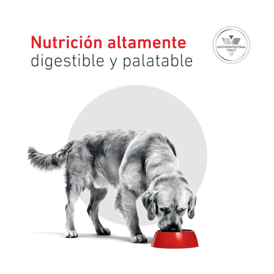 400 g Royal Canin Veterinary Diet Gastrointestinal lata para perros  , , large indicador imagen numero 9