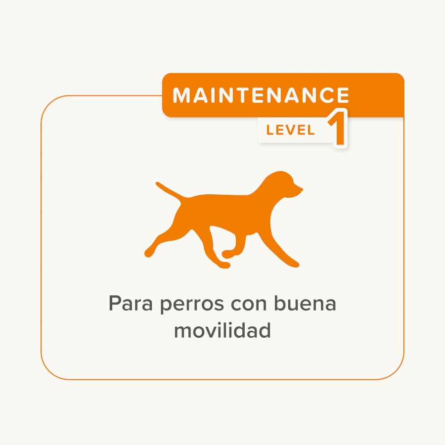 175 g Beaphar Flexifit  Sticks para perros, , large indicador imagen numero 4