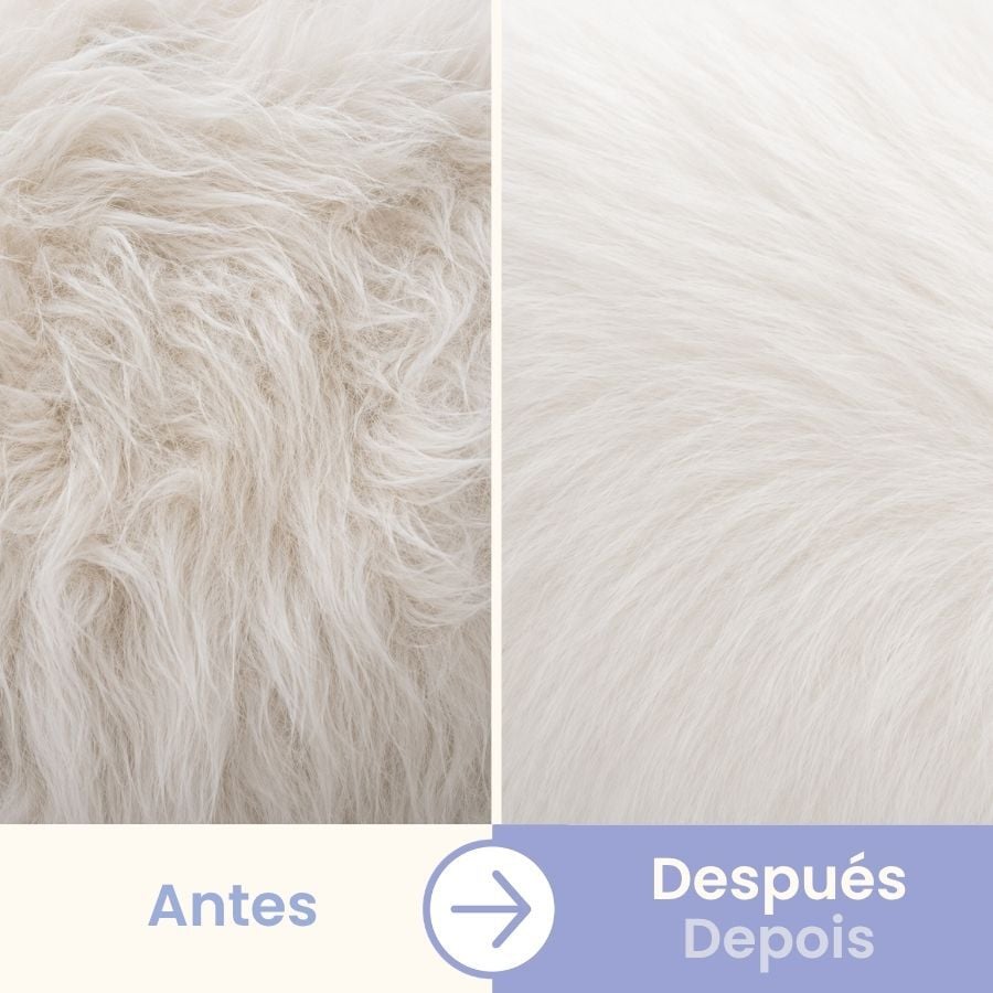 Bloob Cepillo Deslanador Subpelo para perros, , large indicador imagen numero 5