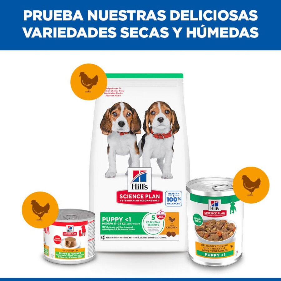 363 g Hill's Science Plan Puppy Estofado con pollo y verduras lata para perros, , large Imagen numero 5