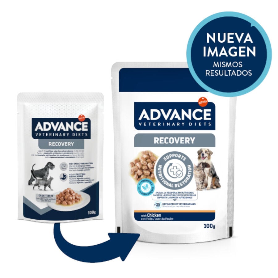 100 g Advance Recovery Sobre para perros y gatos, , large indicador imagen numero 2
