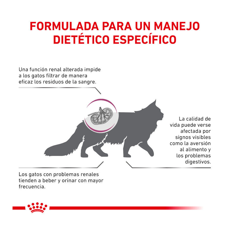 4 kg Royal Canin Veterinary Renal pienso para gatos, , large Imagen numero 5