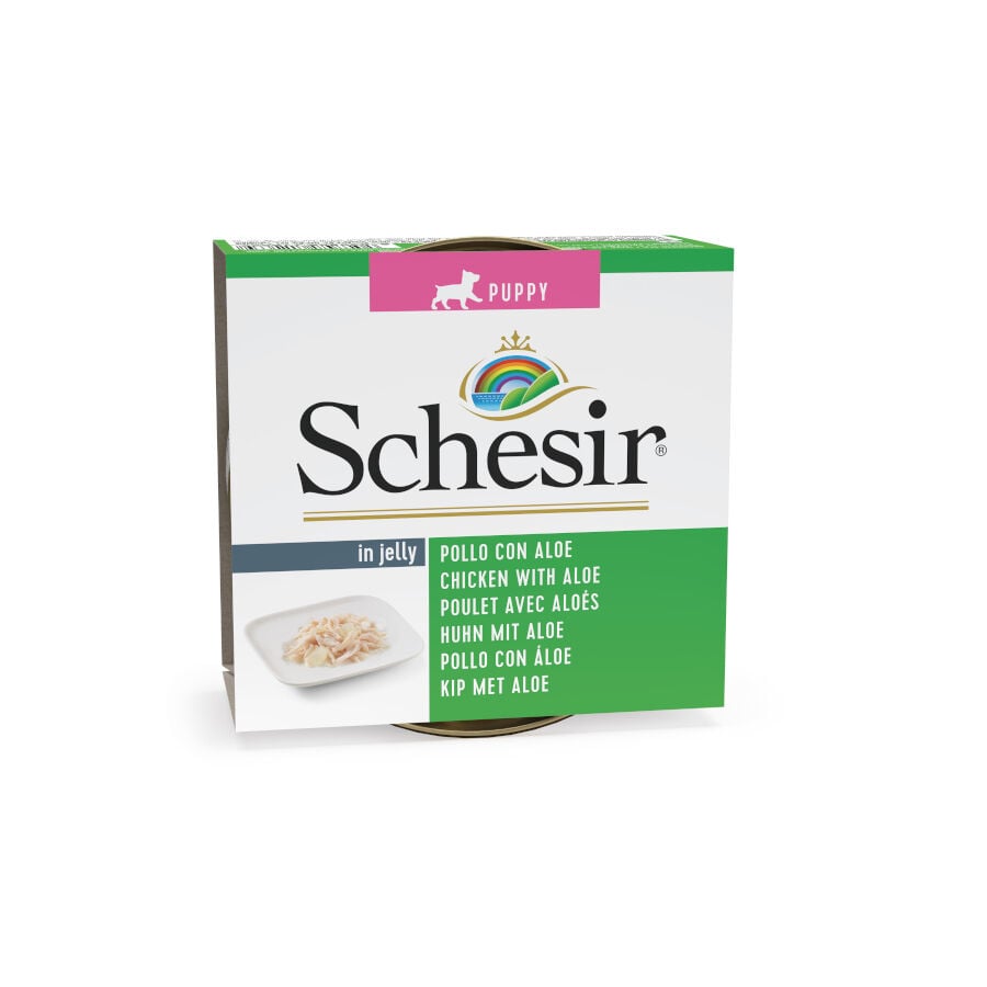 150 g Schesir Puppy pollo con aloe lata para perros, , large indicador imagen numero 1