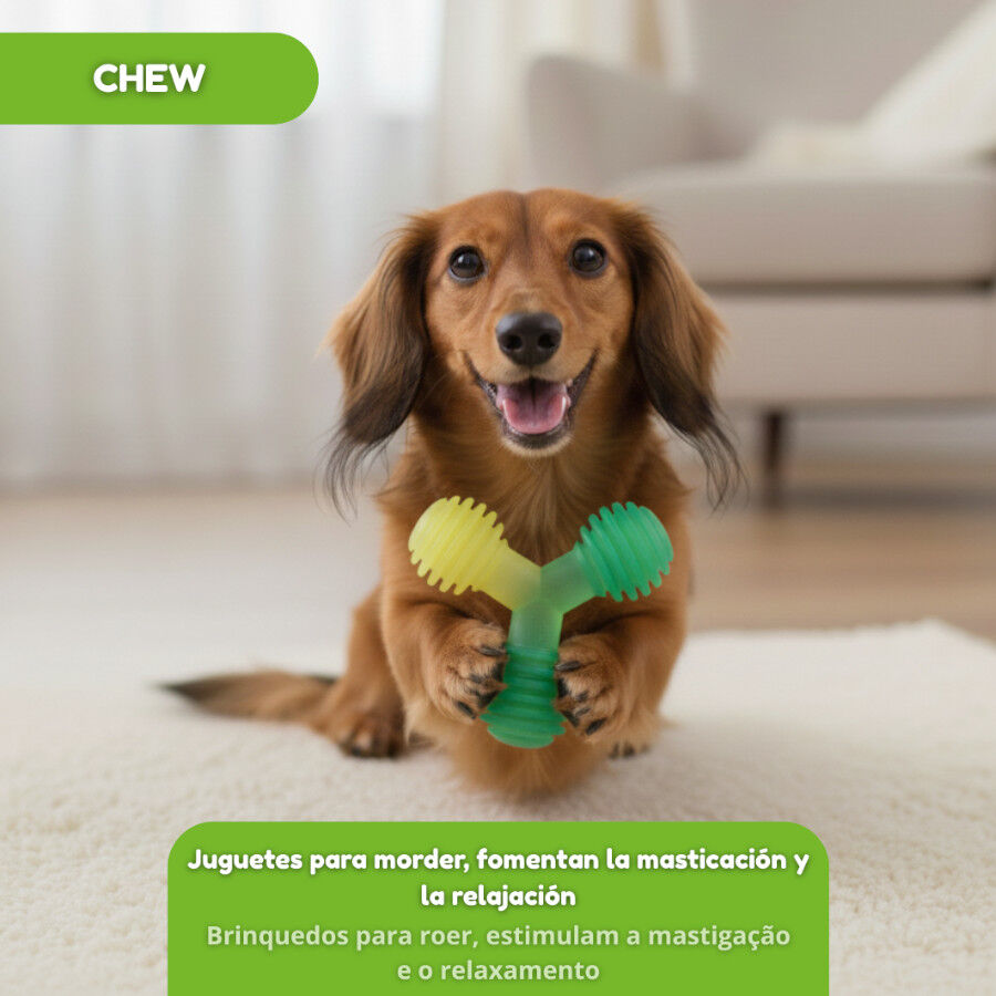 Tootoy! Mordedor de Pelotas en Tri&aacute;ngulo Verde para perros, , large indicador imagen numero 5