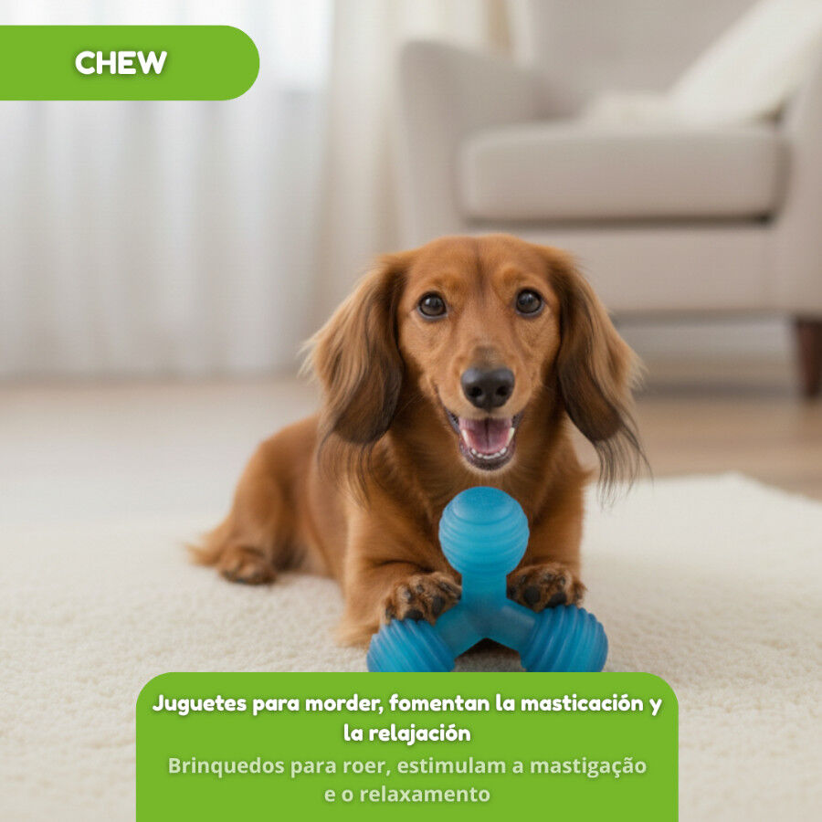 Tootoy! Mordedor de Pelotas en Tri&aacute;ngulo Azul para perros, , large indicador imagen numero 5