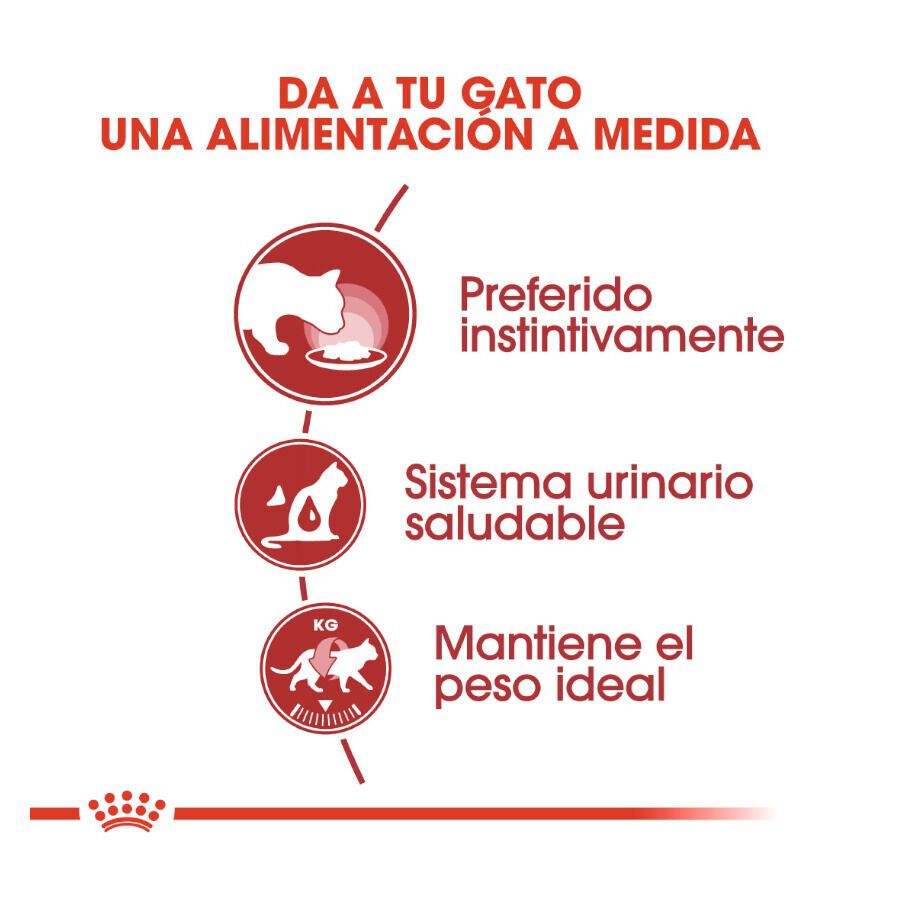 85 g Royal Canin Instinctive gelatina sobres para gatos, , large Imagen numero 4