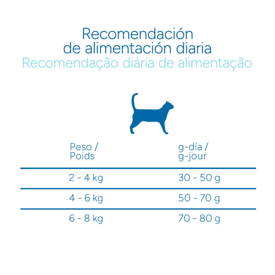 2 kg Criadores Cient&iacute;fico Senior +12 Pescado pienso para gatos, , large indicador imagen numero 9