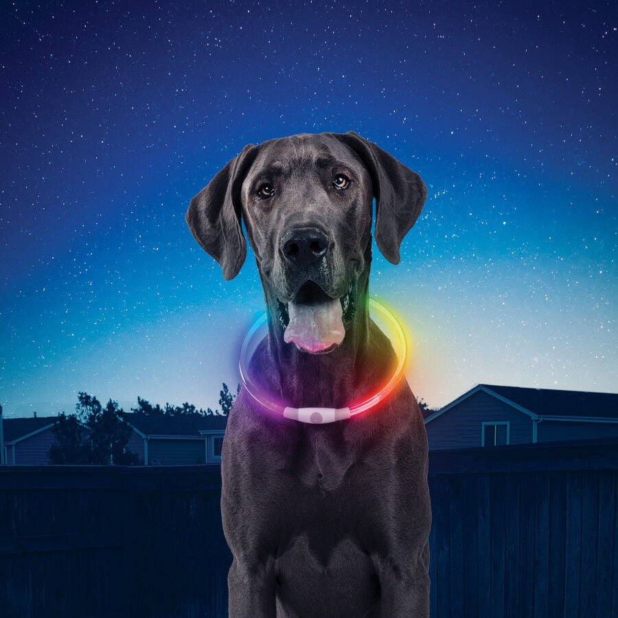 Nite Ize Nite Howl Disc-O-Select LED Collar para perros, , large indicador imagen numero 2