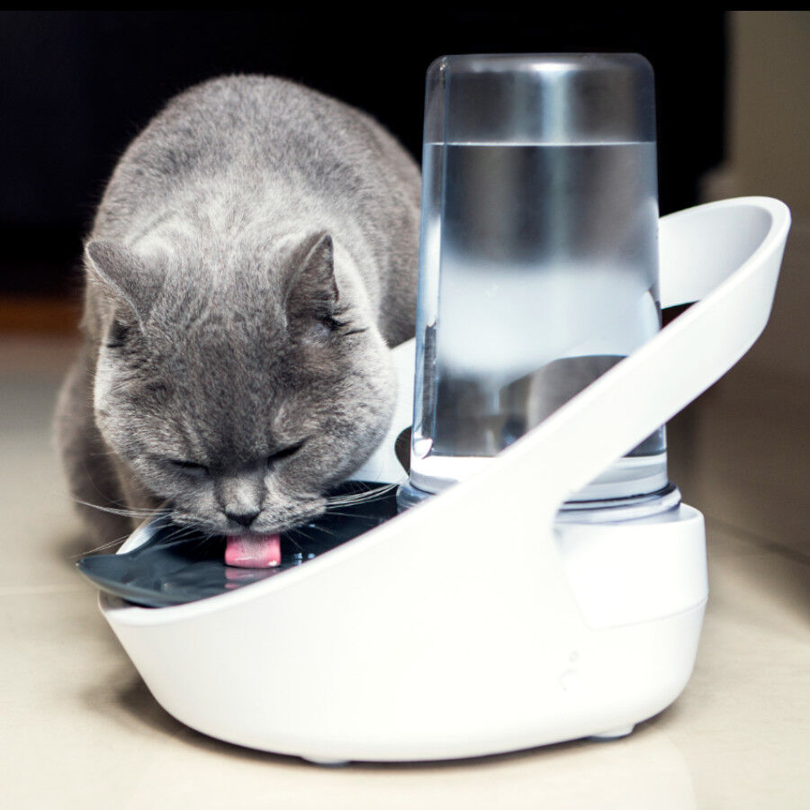 Sure Petcare Felaqua Connect Bebedero Autom&aacute;tico para gatos indicador imagen numero 2