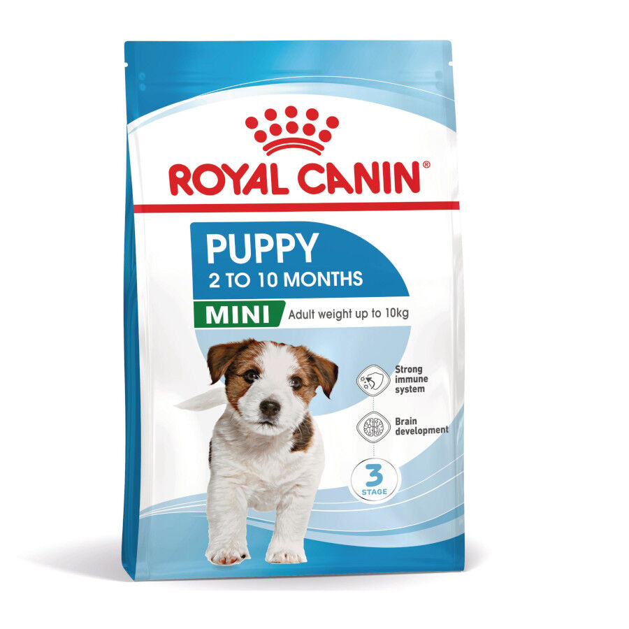 Royal Canin Mini Puppy pienso para perros