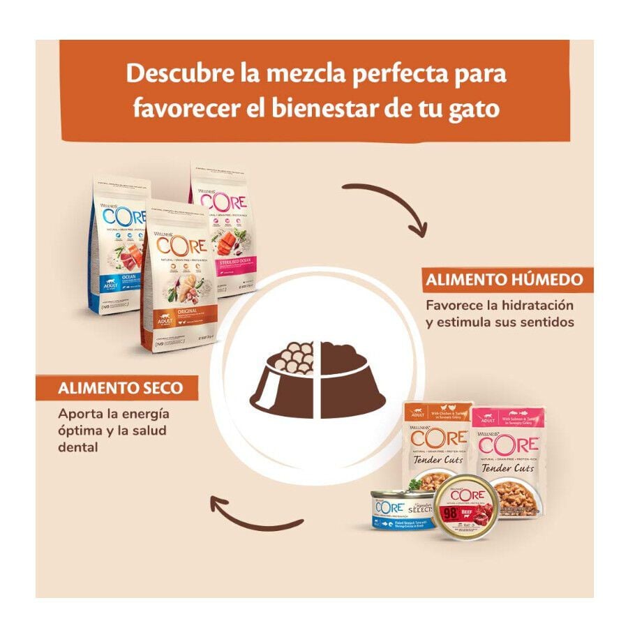 85 g Wellness Core Single Protein Pollo y Jabal&iacute; tarrina para gatos, , large Imagen numero 4