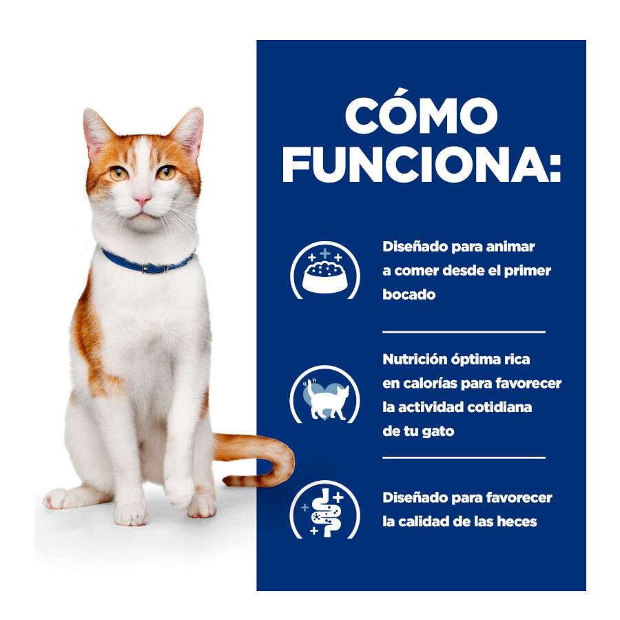 82 g Hill's Prescription Diet Feline Estofado con Pollo y Verduras para Gatos Adultos, , large indicador imagen numero 4