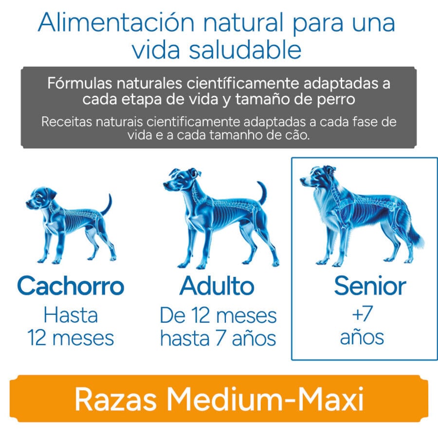 12 kg Criadores Cient&iacute;fico Senior Sensitive Medium-Maxi Pienso Salm&oacute;n para perros, , large indicador imagen numero 11