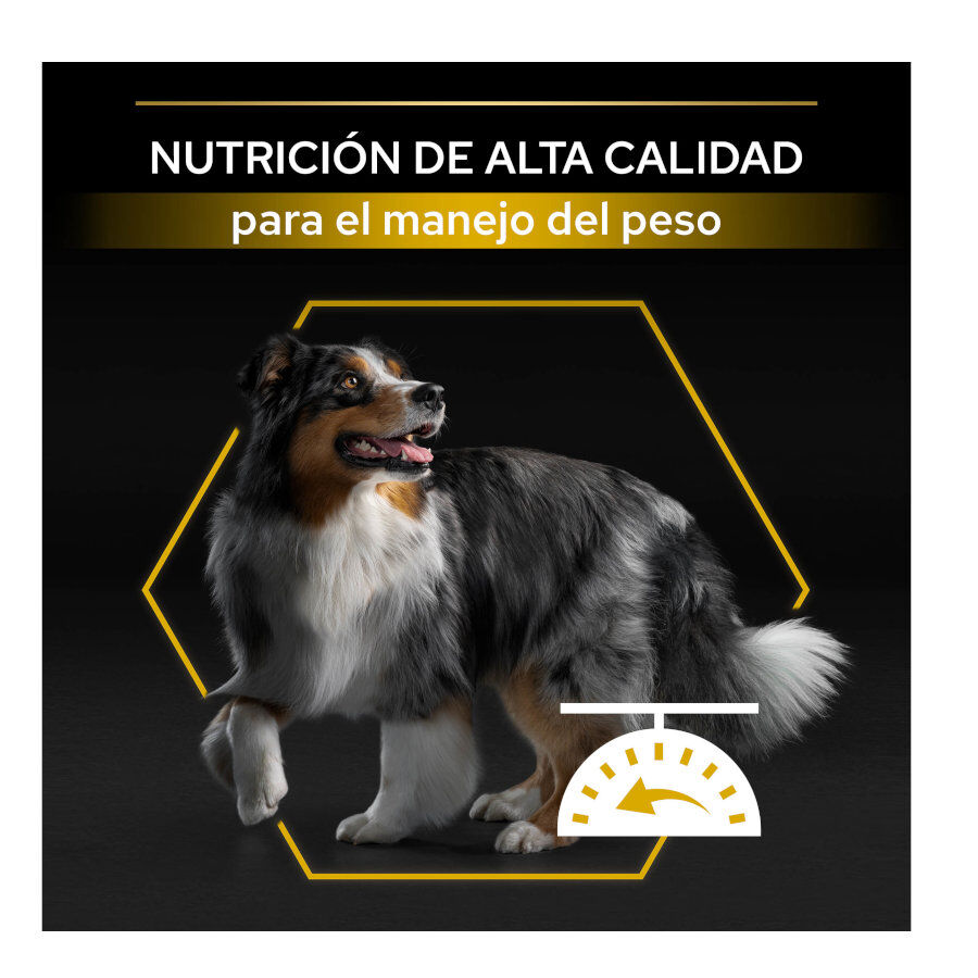 14 kg Pro Plan Adult Light/Sterilised Pollo pienso para perros, , large indicador imagen numero 7