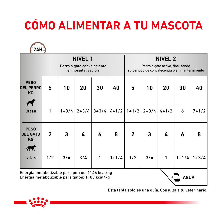 195 g Royal Canin Veterinary Recovery lata para perros y gatos, , large Imagen numero 4