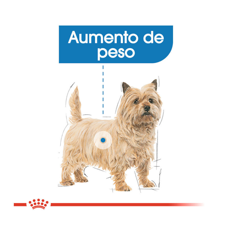 85 g Royal Canin Light Weight Care Sobres Pat&eacute; para perros, , large indicador imagen numero 4