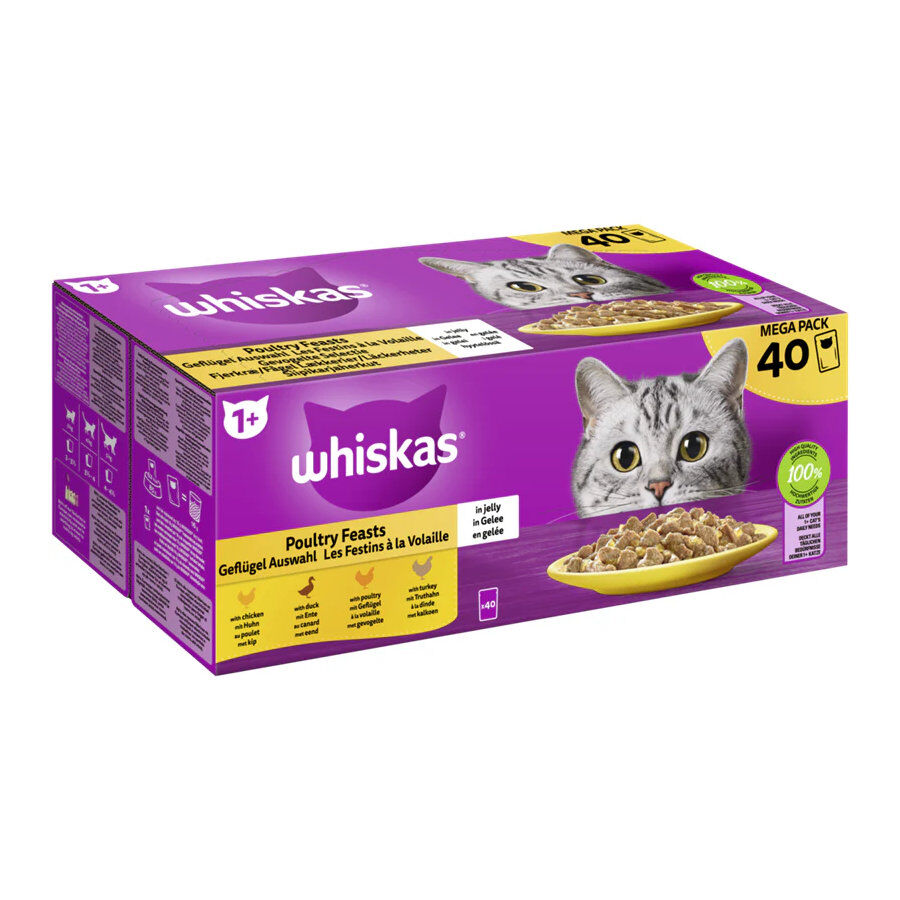 Whiskas Comida H&uacute;meda Gelatina Aves de Corral para gatos
