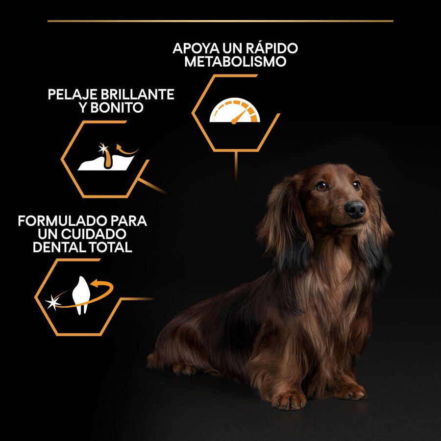 3 kg Pro Plan Adult Small y Mini Pollo pienso para perros, , large indicador imagen numero 3