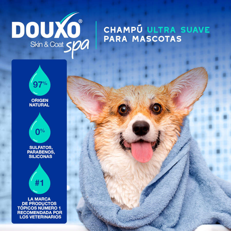 Ceva Douxo Spa Champ&uacute; Antiolor para perros, , large indicador imagen numero 3