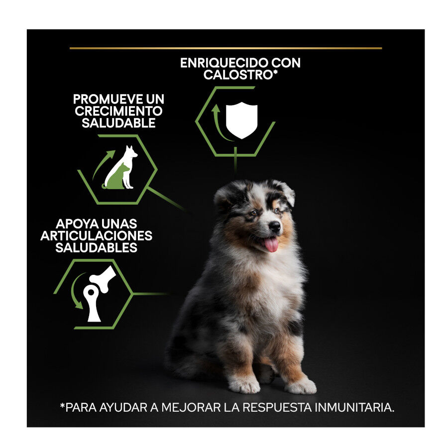14 kg (12 + 2 kg &iexcl;gratis!) Pro Plan Puppy Medium Pollo pienso para perros, , large Imagen numero 3