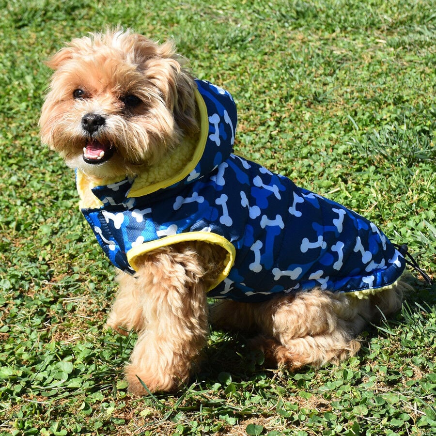 Nayeco Abrigo Acolchado Paws Print Azul para perros, , large indicador imagen numero 1
