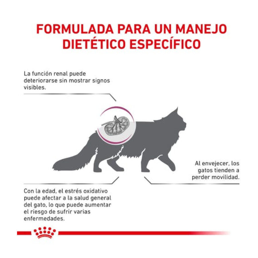 6 kg Royal Canin Veterinary Early Renal pienso para gatos, , large Imagen numero 5
