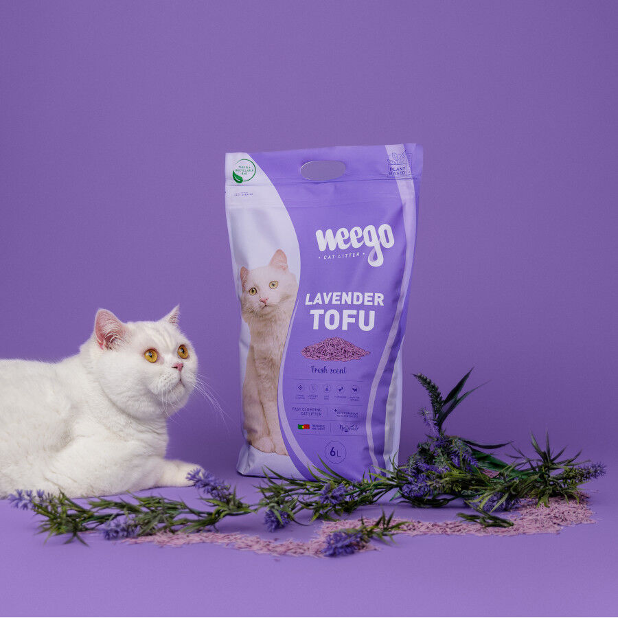 6 L Weego Lavender Tofu Arena aglomerante para gatos, , large indicador imagen numero 3