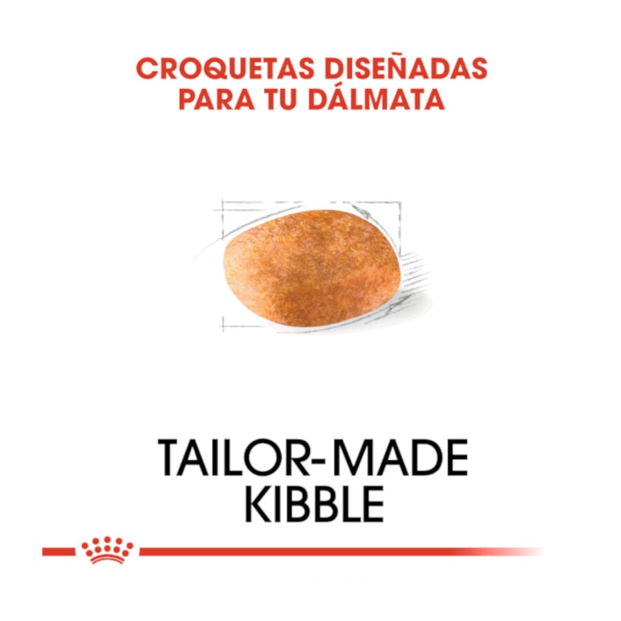 12 kg Royal Canin Adult D&aacute;lmata pienso para perros, , large Imagen numero 5
