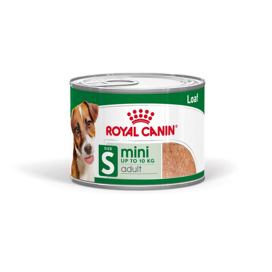 195 g Royal Canin Mini Adult Pat&eacute; lata para perros, , large indicador imagen numero 1
