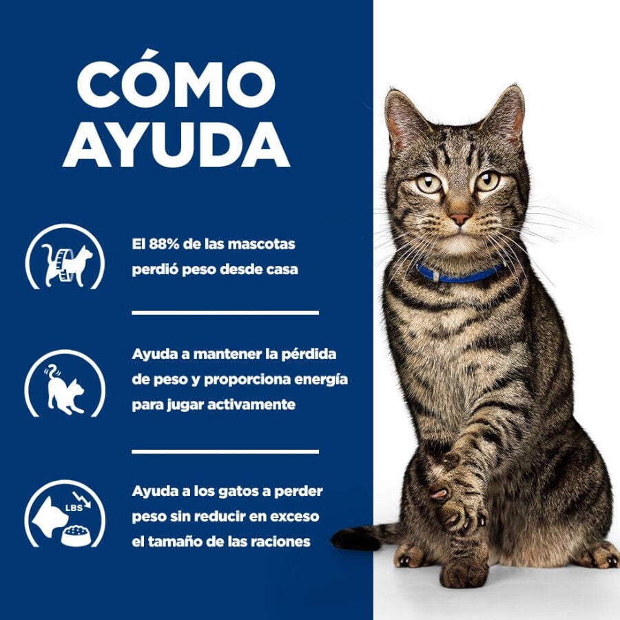 8 kg Hill's Prescription Diet Metabolic Salm&oacute;n pienso para gatos, , large indicador imagen numero 8