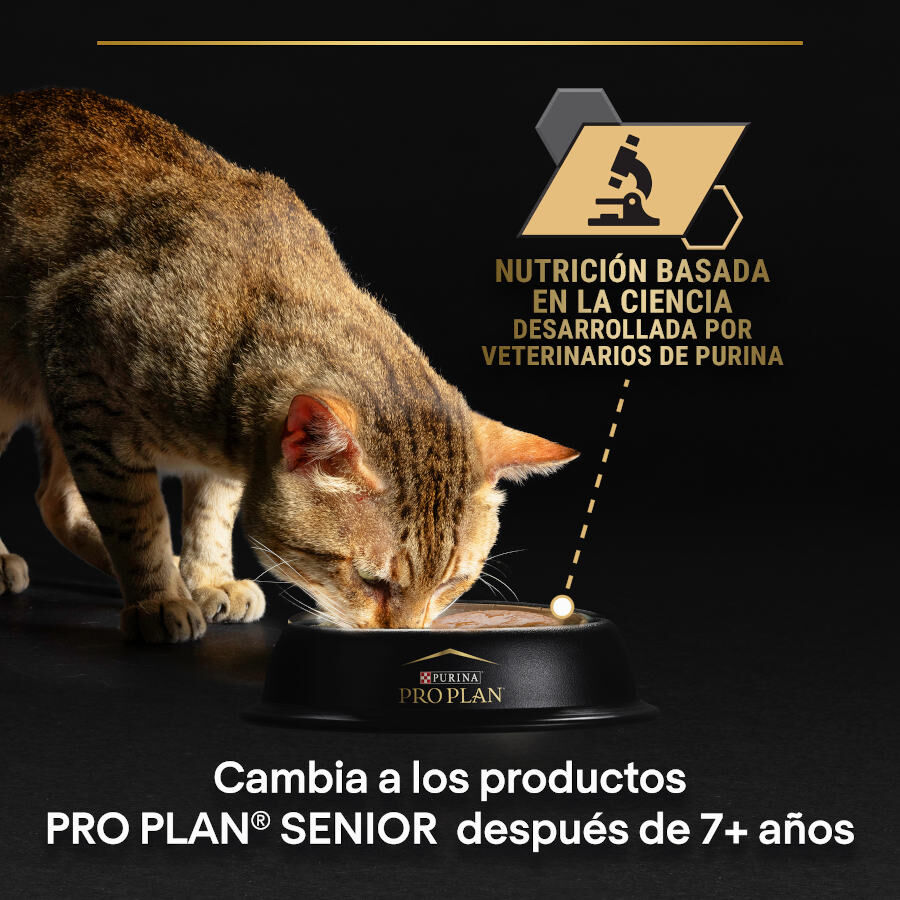 12 latas x 85 g Pro Plan Adult Sterilised Maintenance Salm&oacute;n y At&uacute;n lata para gatos, , large indicador imagen numero 7