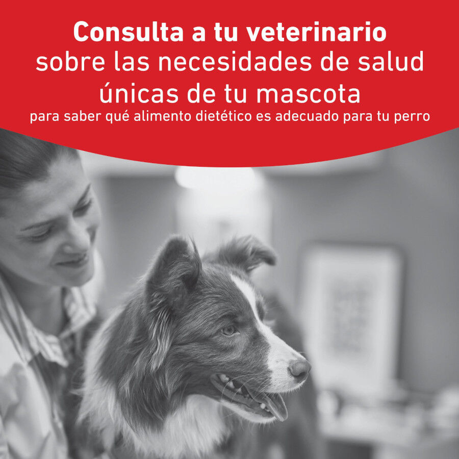 195 g Royal Canin Veterinary Diabetic latas para perros, , large Imagen numero 2